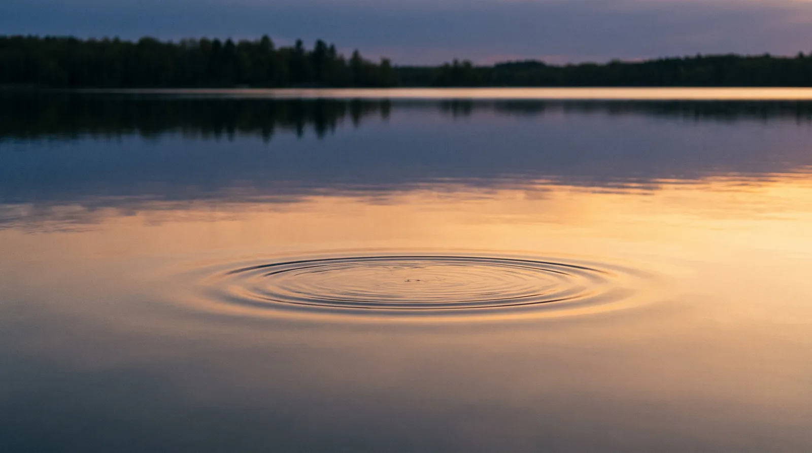 A single rise ring spreading across glassy calm water at dusk
