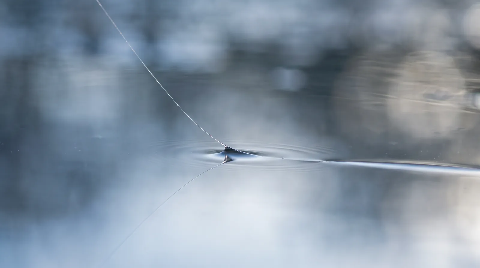 Macro: a fine filament dimpling the surface film